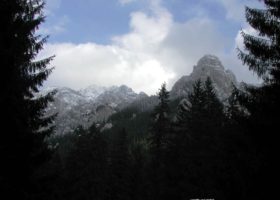 galerie_poza (43)
